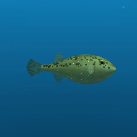 Puffer
