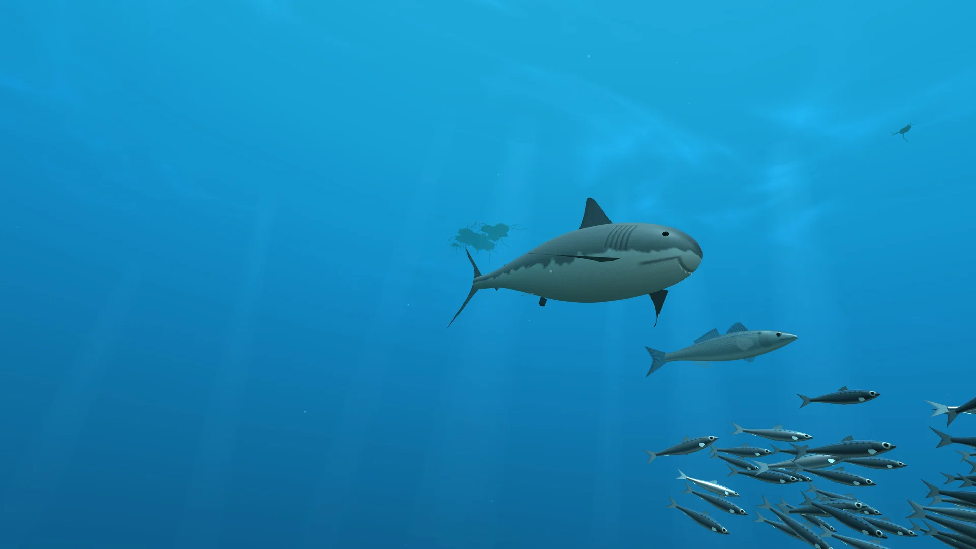 A great white shark, sea bass and sardines in MIDCHAIN’s food chain